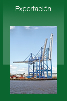 exportacion
